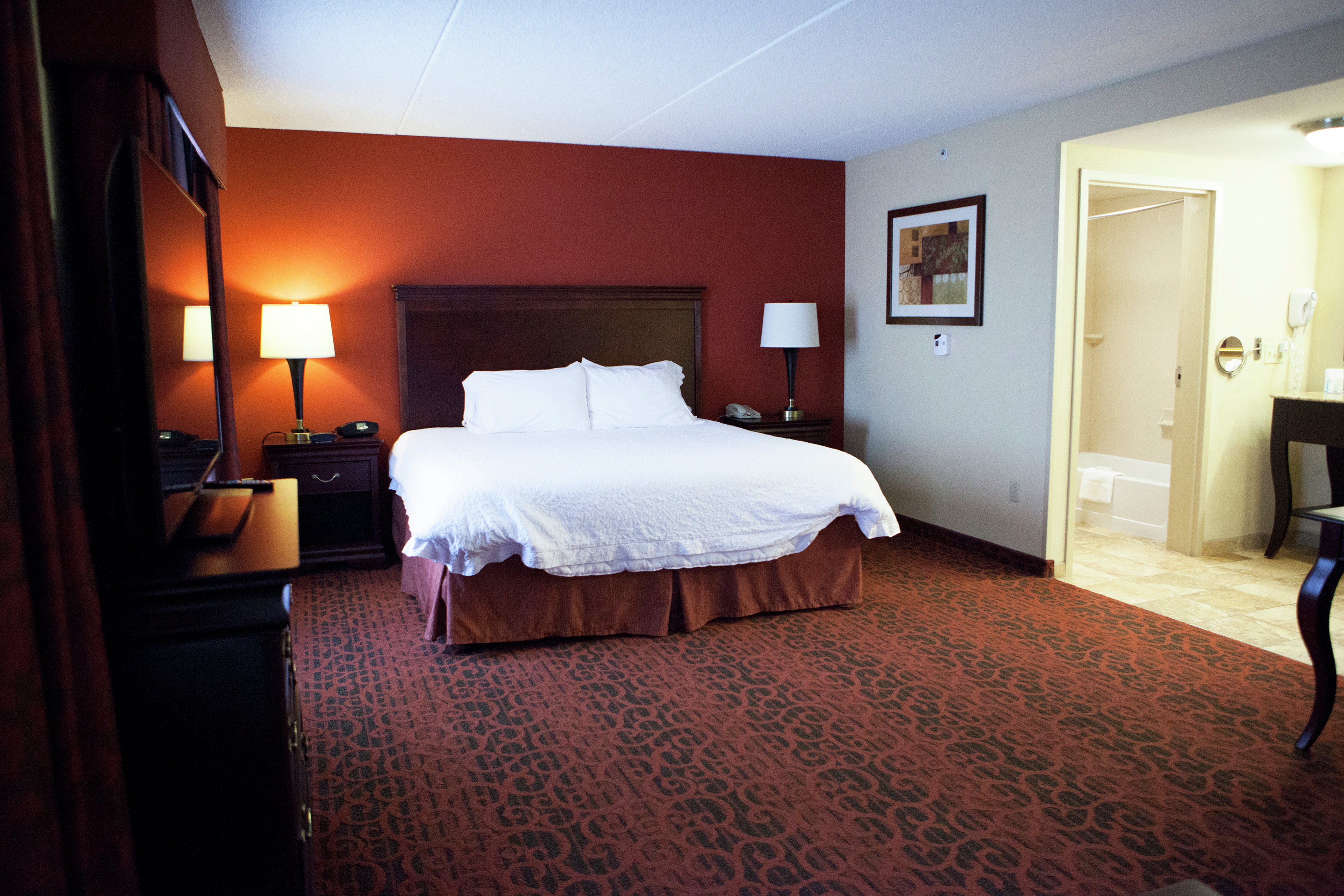 Hampton Inn Rochester-Webster