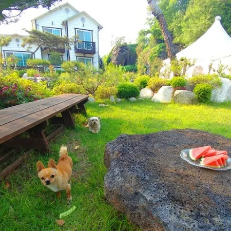 Cheorwon Bawesaem Pension
