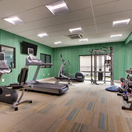 Holiday Inn Express & Suites HELEN by IHG