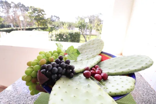 Negroamaro House Torre Santo Stefano Otranto