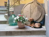 Azzurro