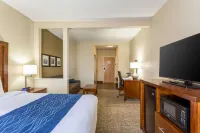 Sonesta Essential - Baton Rouge Airport - Afhentnings-/afleveringstjenester