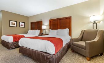 Comfort Inn & Suites Clemson - University Area