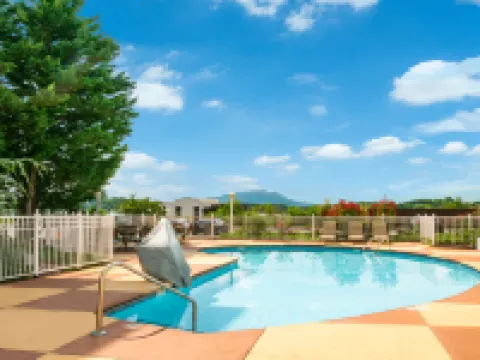 ホリデイ イン エクスプレス アンド スイーツ ピジョン フォージ セビアビル by IHG セバービルのホテル