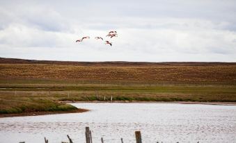 Estancia Caleta Josefina