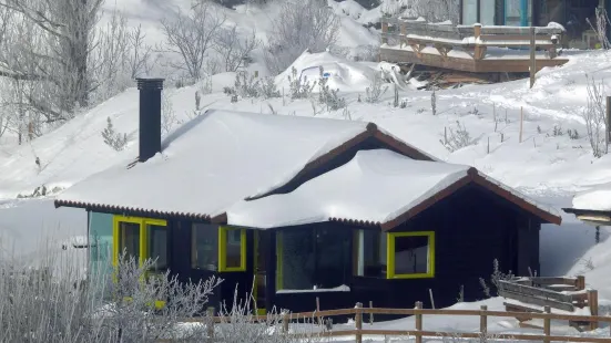 Cabañas Patagónicas