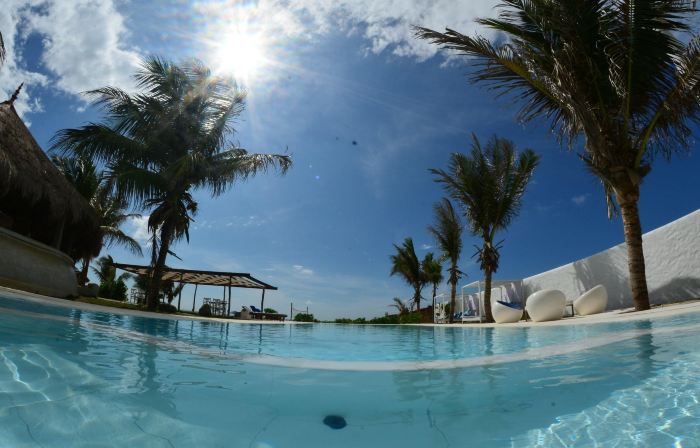 Dolphin Beach Resort - Dolphines, Kitesurfing & Wildlife