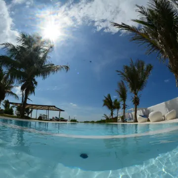 Dolphin Beach Resort - Kalpitiya