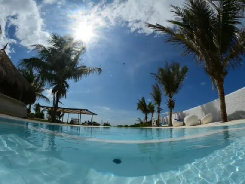 Dolphin Beach Resort - Kalpitiya Hotels in 