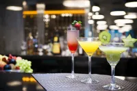 H Niteroi Hotel - bars