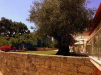 Otium Country House - Vila