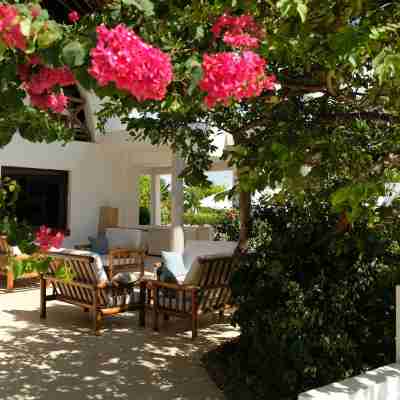 Dhow Inn Boutique Hotel Hotel Exterior