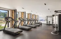 Viceroy Kopaonik Serbia - Gym