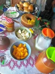 Raízes Eco Hostel Hotels in Cajueiro da Praia