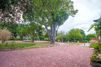 Forest Hall Guest House Hotels in Port Elizabeth