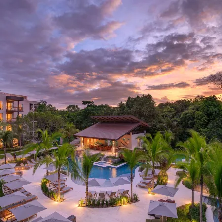Botanika Osa Peninsula, Curio Collection by Hilton
