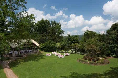 The Park Vista - a DoubleTree by Hilton Hotel - Gatlinburg