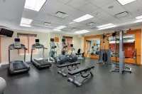 Hilton Garden Inn Mobile West I-65/Airport Blvd. - Gym