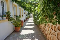 Laza Beach Hotels in Agistri Town