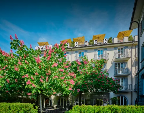Boutique-Hotel Speer - 駐車場