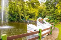 Bomtempo ll Chales da Mata