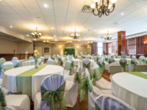 Comfort Inn & Suites Hotels in Guildford