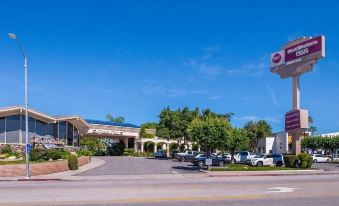 Best Western Plus Black Oak