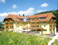 Burg Hotel Feldberg Hotel dekat Feldberg