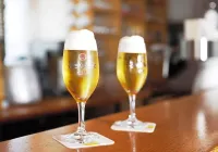 Hotel Goldener Hahn - Quầy Bar