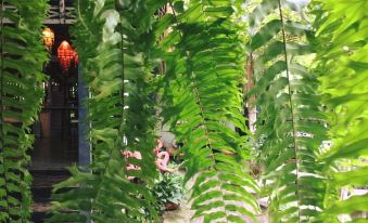 Sudrit Arts Gallery - Hostel - Housity