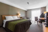 Comfort Inn Dartmouth