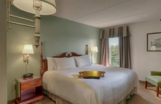 費爾南迪納海灘阿米莉亞島歡朋酒店