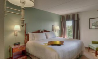 Hampton Inn Amelia Island at Fernandina Beach