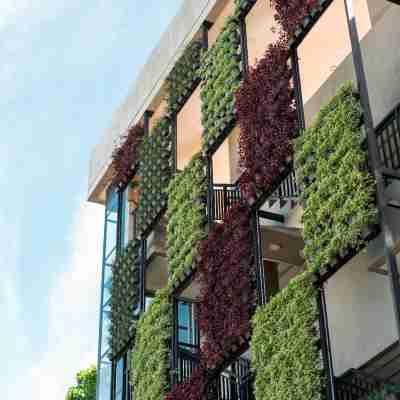 杜馬格特飯店 Hotel Exterior