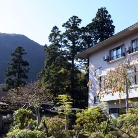 箱根芦之湯温泉 きのくにや旅館