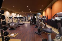 秦皇島蔚藍海岸·美居別墅 - 健身室/gym room