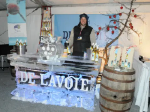 Comfort Inn South Hotels in Brossard