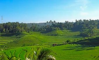 Cempaka Belimbing Villa