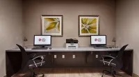 Best Western Plus College Station Inn  Suites - Pet friendly