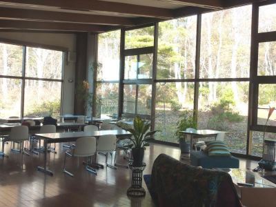 共有エリア 時空の杜の写真