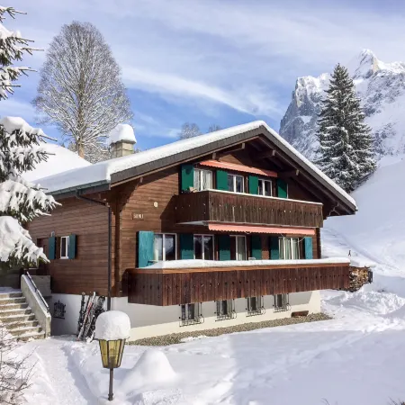 Chalet Bienli Mitte