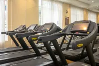 InterContinental Hotels 實特古西加爾巴 - 健身室/gym room