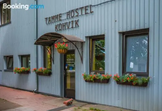 甜蜜的青年旅館