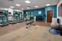 Holiday Inn Express & Suites ROCHESTER WEBSTER by IHG - Gym