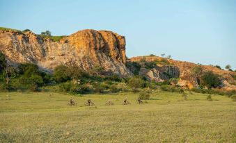 Mashatu Tent Camp - Mashatu Game Reserve