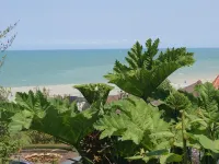 La résidence de la Villa Quartz - Ocean View