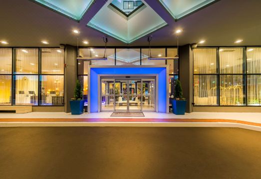 2. 소네스타 화이트..