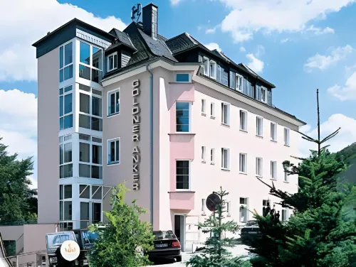 Hotel Goldner Anker Hotels in Bad Brambach