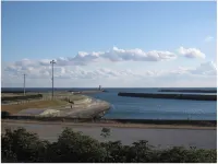 Toyohashi Station Hotel Hotels in Toyohashi