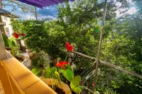 Robins Guesthouse